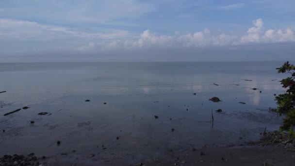 Luftpanoramablick Auf Die Sumpfige Matschstrand Umgebung Ebbe Strand — Stockvideo