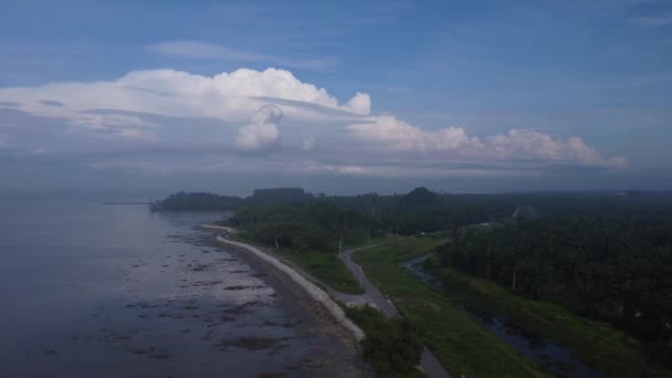 Aerial Panoramic View Swampy Mud Beach Environment Low Tide Beach — Stock Video