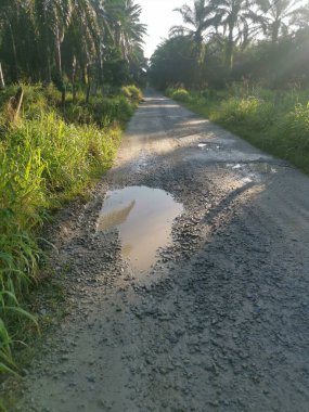 Kırsal yol manzarası ya da vahşi çiftlik ya da çiftliğe giden yol 