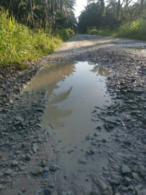 Kırsal yol manzarası ya da vahşi çiftlik ya da çiftliğe giden yol 