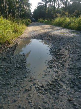 Kırsal yol manzarası ya da vahşi çiftlik ya da çiftliğe giden yol 