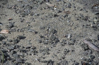 Kumsalda küçük kum baloncukları..