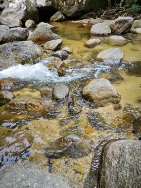 Kayalık nehirden akan su 
