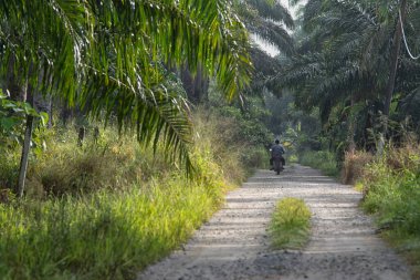 Birisi tarlaya giden kumlu yolda seyahat ediyor..