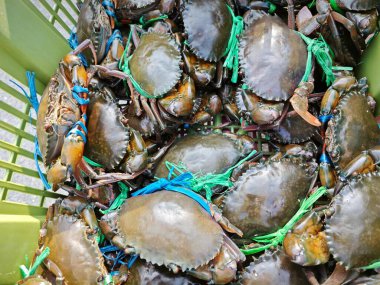 Canlı çamur ya da mangrov yengeçleri sepette satılıktır..