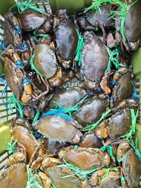 Canlı çamur ya da mangrov yengeçleri sepette satılıktır..