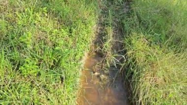 Çiftlik arazisindeki su birikintisi..