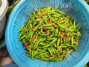 Taze yeşil biber sepetleri..