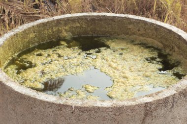 Kuyunun yüzeyinde yüzen yeşil alg atığının kızılötesi görüntüsü.