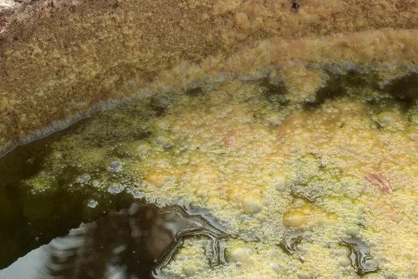 Infrared Image Greenish Algae Sludge Floating Surface Well — Stock Photo, Image