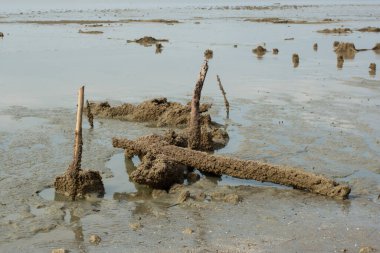 Düşük gelgitli sahildeki bataklık çamur plajı çevresinin kızılötesi görüntüsü..