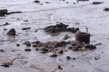 Düşük gelgitli sahildeki bataklık çamur plajı çevresinin kızılötesi görüntüsü..