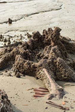 Düşük gelgitli sahildeki bataklık çamur plajı çevresinin kızılötesi görüntüsü..