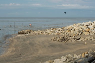 Düşük gelgitli sahildeki bataklık çamur plajı çevresinin kızılötesi görüntüsü..