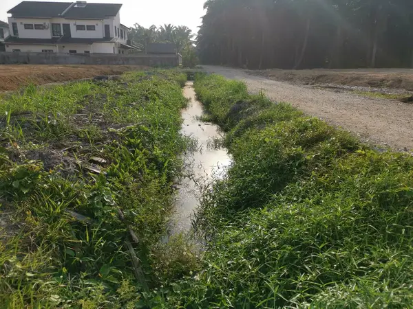田舎の排水の表面に浮かぶ緑豊かな藻類の汚泥 — ストック写真