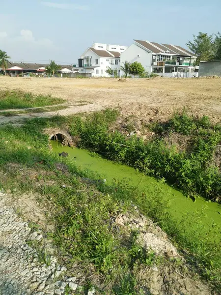 Zielonkawy Osad Alg Unoszący Się Powierzchni Odpływu Wiejskiego — Zdjęcie stockowe
