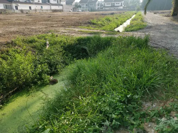 田舎の排水の表面に浮かぶ緑豊かな藻類の汚泥 — ストック写真
