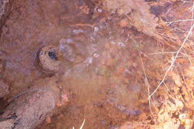 Yerdeki kırık ve paslı borulardan sızan suyun kızılötesi görüntüsü..