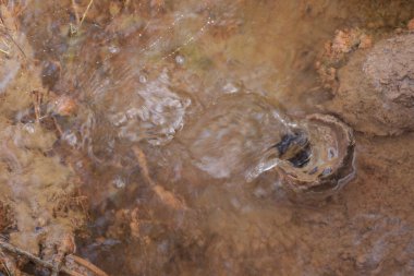 Yerdeki kırık ve paslı borulardan sızan suyun kızılötesi görüntüsü..