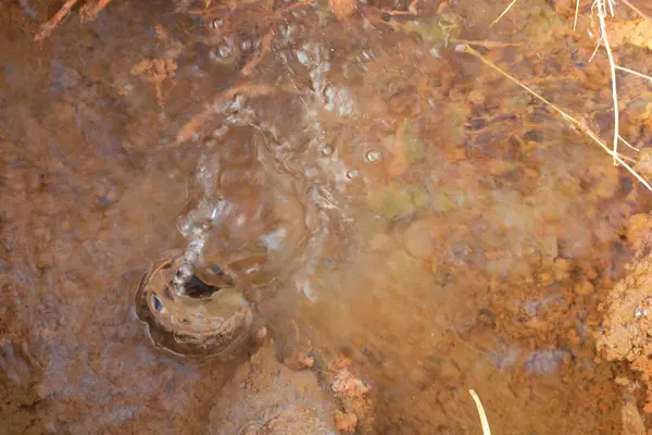Infrared Image Leakage Water Broken Rusty Pipe Ground — Stock Photo, Image