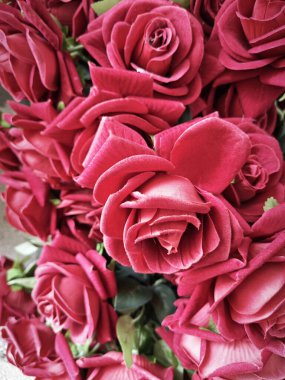 Büyük kırmızı porselen gül ağacına bakıyorum..