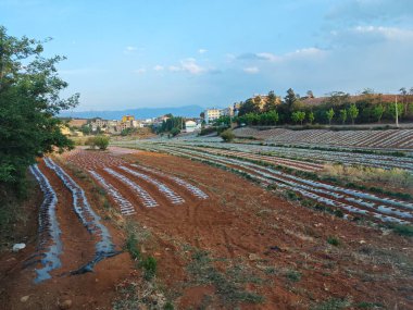 DongChuan, Çin tarım manzarası manzarası..