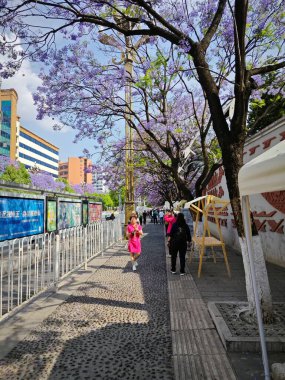 Yunnan, Çin. 26 Nisan 2024: Kunming kentsel iş caddesinde yürüyen insanların çevre şehri sahnesi.