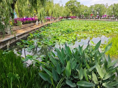 Yunnan, Çin. 25 Nisan 2024: Kunming 'deki Gaguan Pavilion Parkı' nda insanların gündüz aktivitelerinin keyfini çıkardıkları çevre sahnesi.