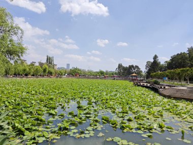 Yunnan, Çin. 25 Nisan 2024: Kunming 'deki Gaguan Pavilion Parkı' nda insanların gündüz aktivitelerinin keyfini çıkardıkları çevre sahnesi.