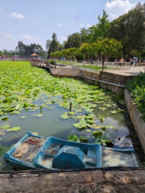 Yunnan, Çin. 25 Nisan 2024: Kunming 'deki Gaguan Pavilion Parkı' nda insanların gündüz aktivitelerinin keyfini çıkardıkları çevre sahnesi.