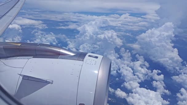 View Aeroplane Window Environment Daytime Sky Land — Stock Video