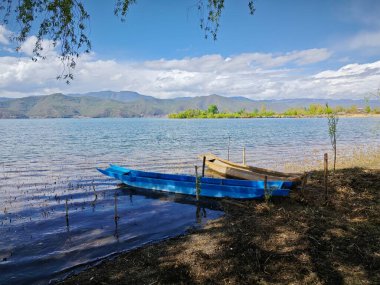 Tatlı su gölünün etrafında büyüyen güzel bitki örtüsü..