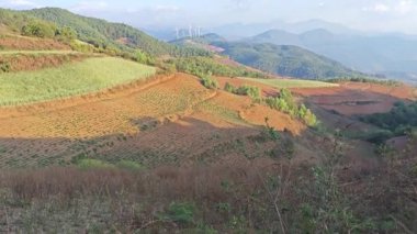Kırsal tarım arazisinin kırmızı toprak manzarası. 