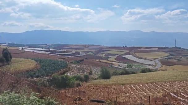 農村地方の赤い土壌テラス風景シーン — ストック動画