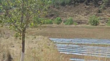 hareketli otobüs camından dağlık kırsal araziye bakıyor..