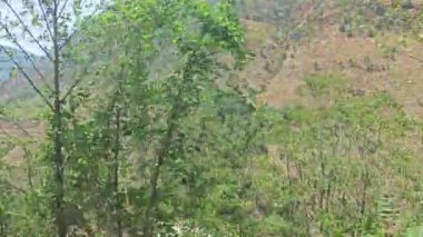 hareketli otobüs camından dağlık kırsal araziye bakıyor..