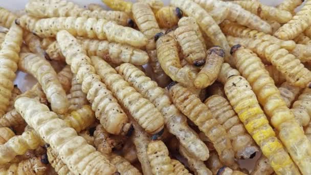 Scène Quelques Insectes Frits Exotiques Snack Vente Dans Rue Asiatique — Video