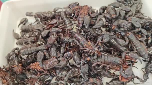 Scene Some Exotic Fried Insects Snack Selling Asian Street — Stockvideo