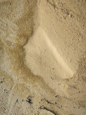 Durgun yağmur suyu havuzundan kurumuş çamur..