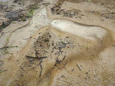 Durgun yağmur suyu havuzundan kurumuş çamur..