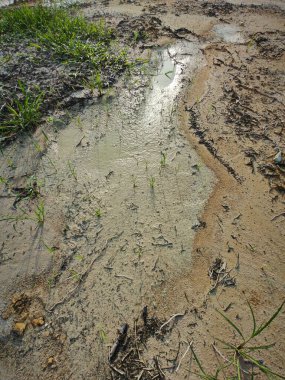 Durgun yağmur suyu havuzundan kurumuş çamur..