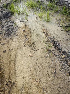 Durgun yağmur suyu havuzundan kurumuş çamur..