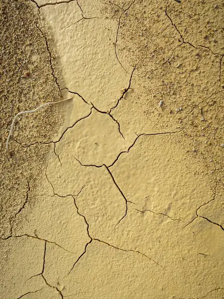 stock image drying wet mud from the stagnant pool of rainwater.