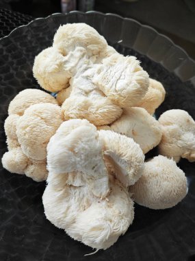 Bir tabak beyaz renkli aslan yelesi mantarı..