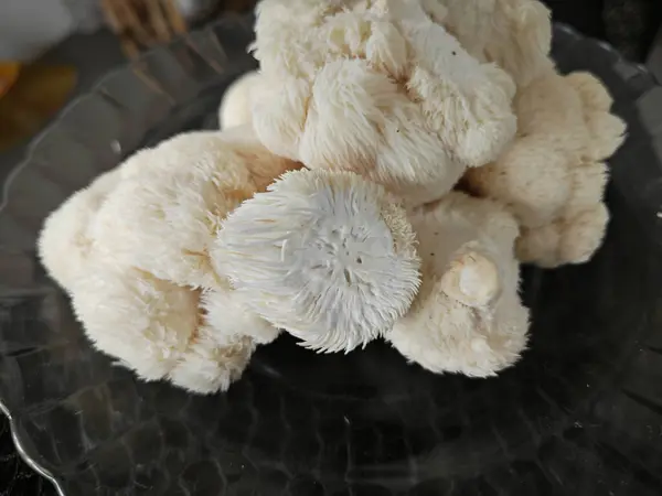 stock image a plate of white colored lion's mane mushroom.
