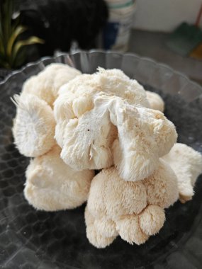 Bir tabak beyaz renkli aslan yelesi mantarı..