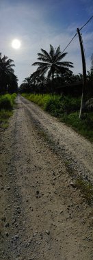 Çiftliğe giden kırsal yolun geniş panoramik manzarası.