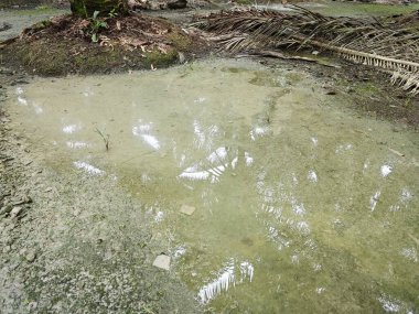 Kimyasal gübre ve tarım ilacı kullanımından kaynaklanan atıklar nedeniyle kirlenen durgun su havuzunun yüzeyindeki kirli yağ lekeleri. 