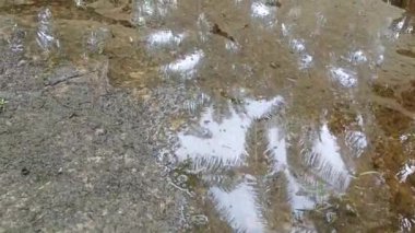 Kimyasal gübre ve tarım ilacı kullanımından kaynaklanan atıklar nedeniyle kirlenen durgun su havuzunun yüzeyindeki kirli yağ lekeleri. 