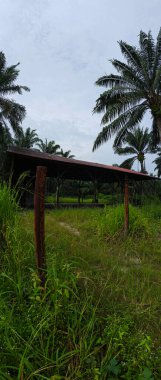 Tarlada terk edilmiş ve ihmal edilmiş bir baraka var..